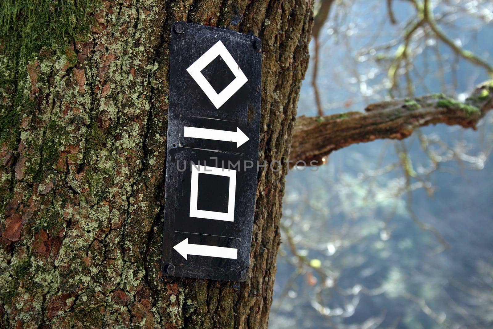 Signposts in the forest