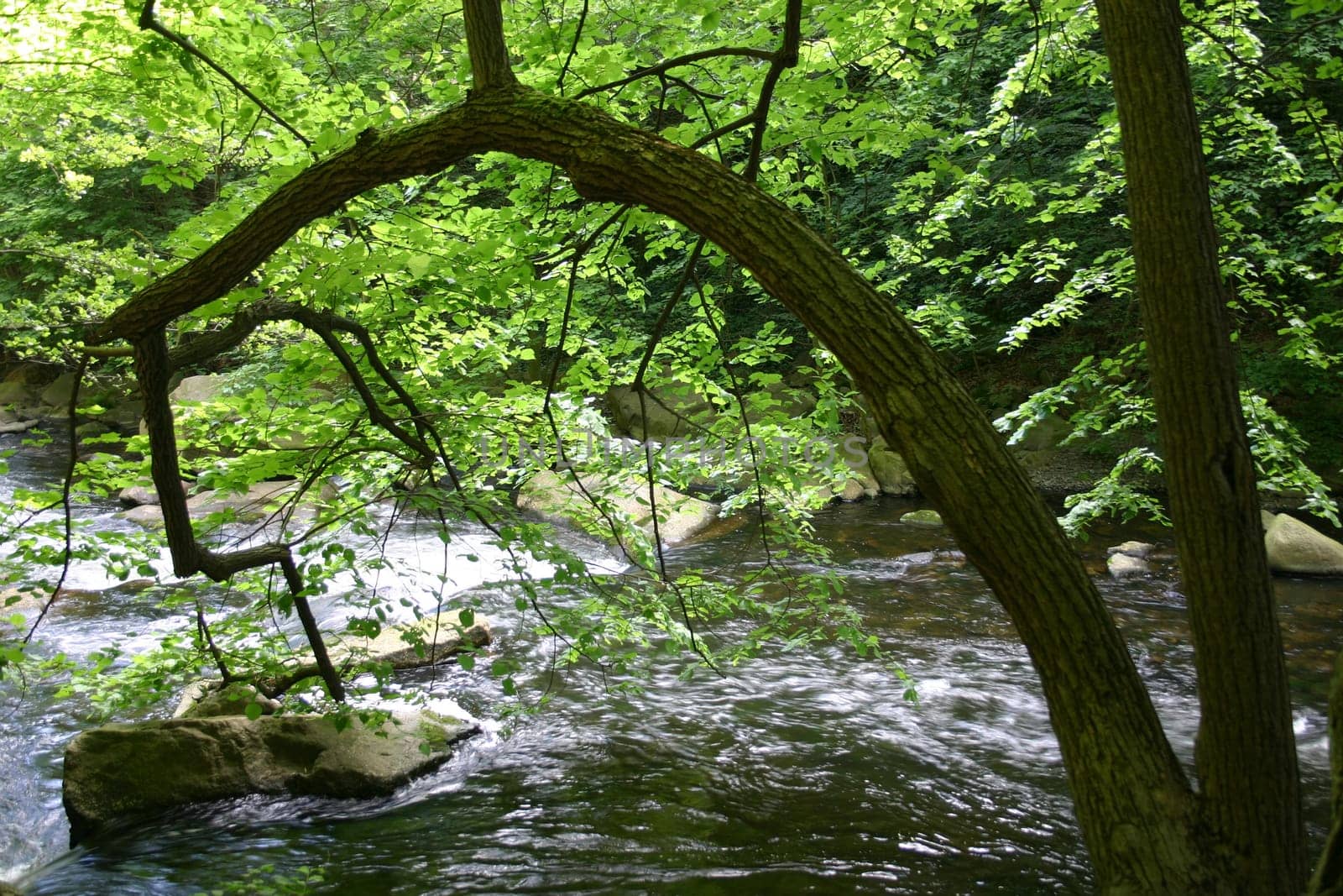 Bodetal near Thale in the Harz Mountains