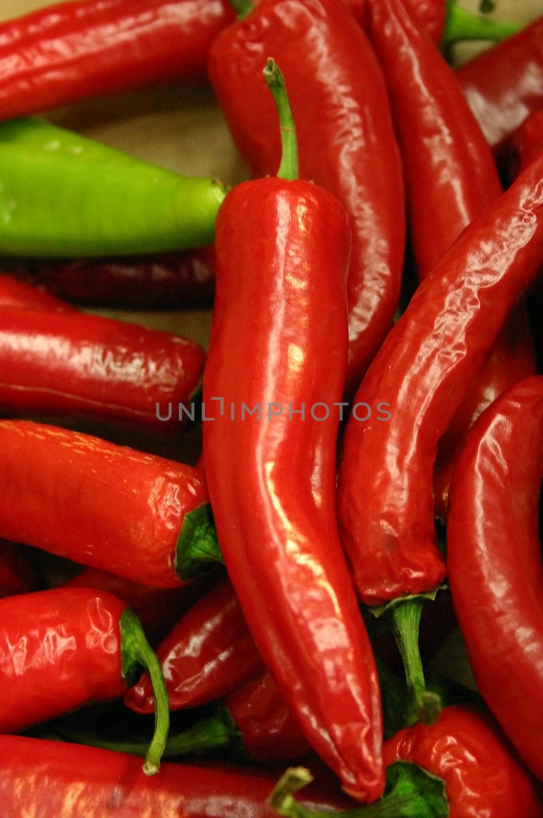 Red Hot Chili