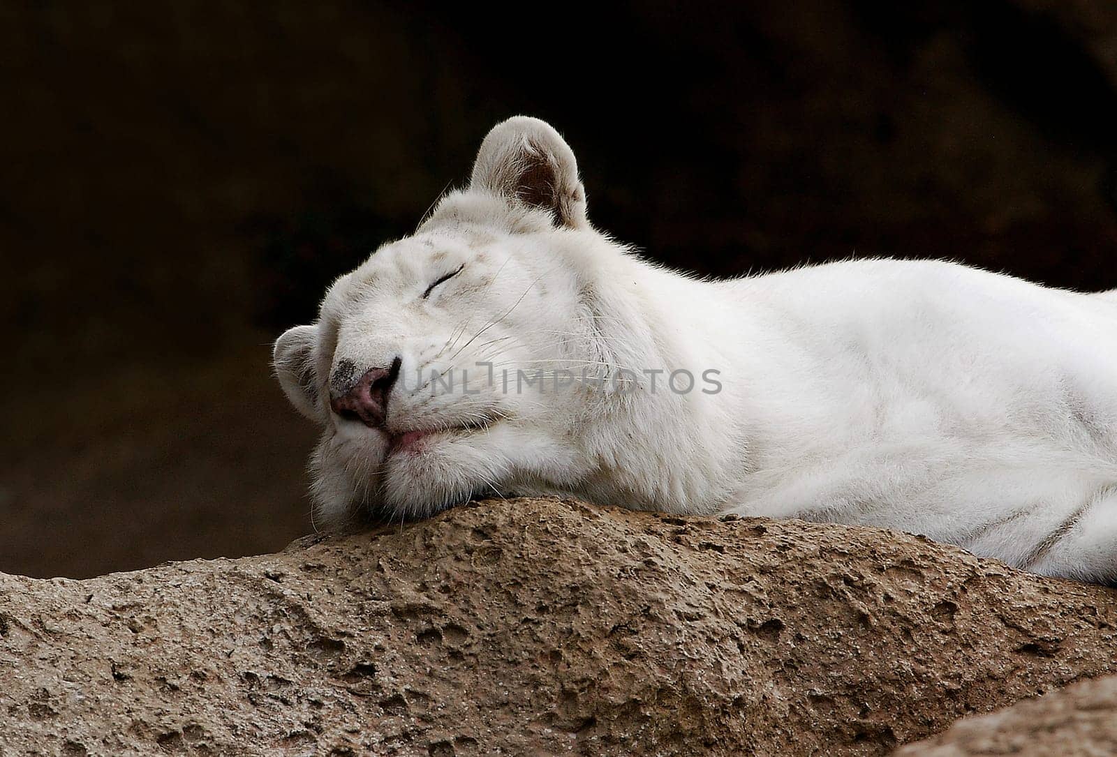 Sleepy