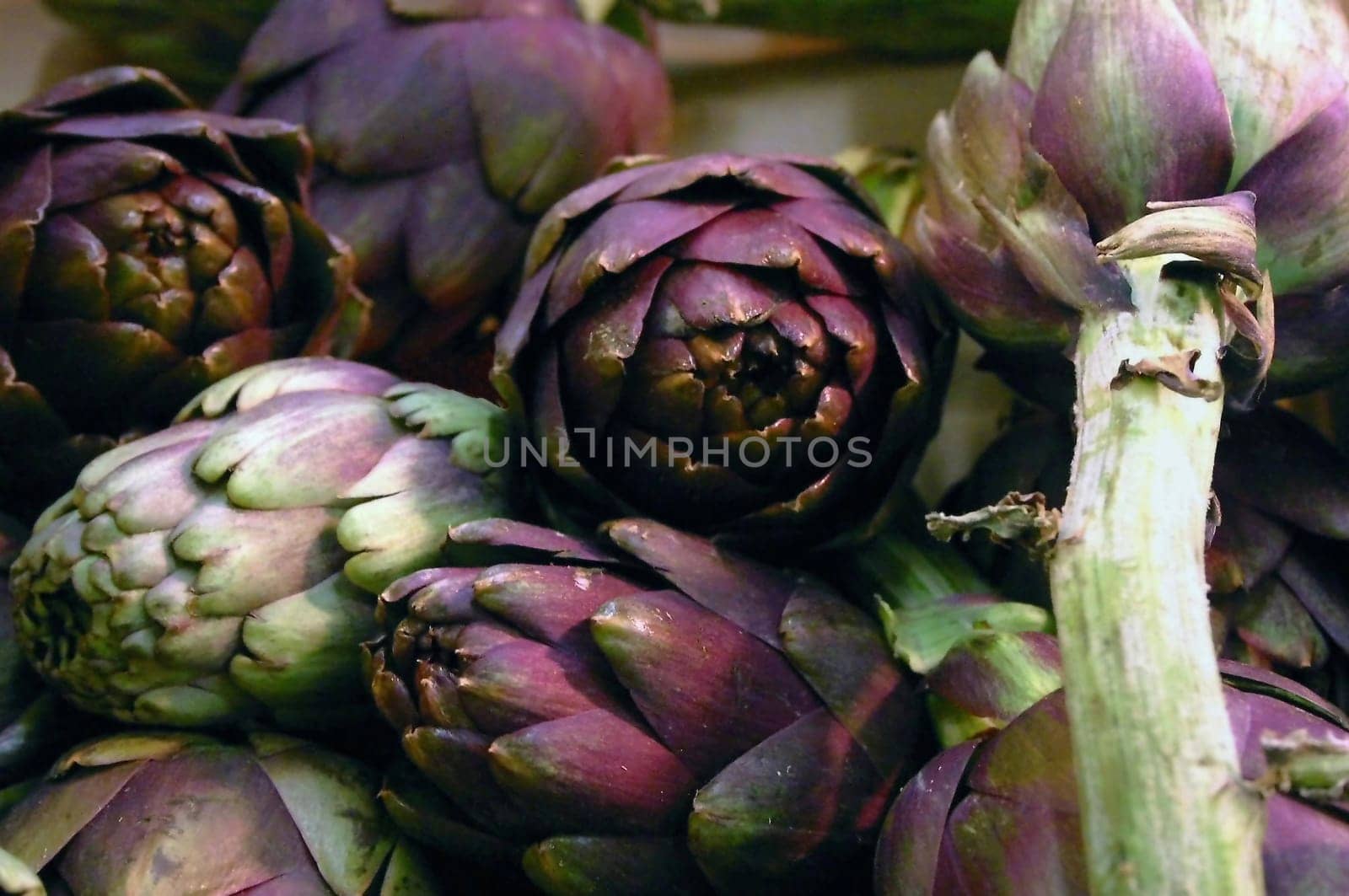 The color of this vegetable fascinates me....