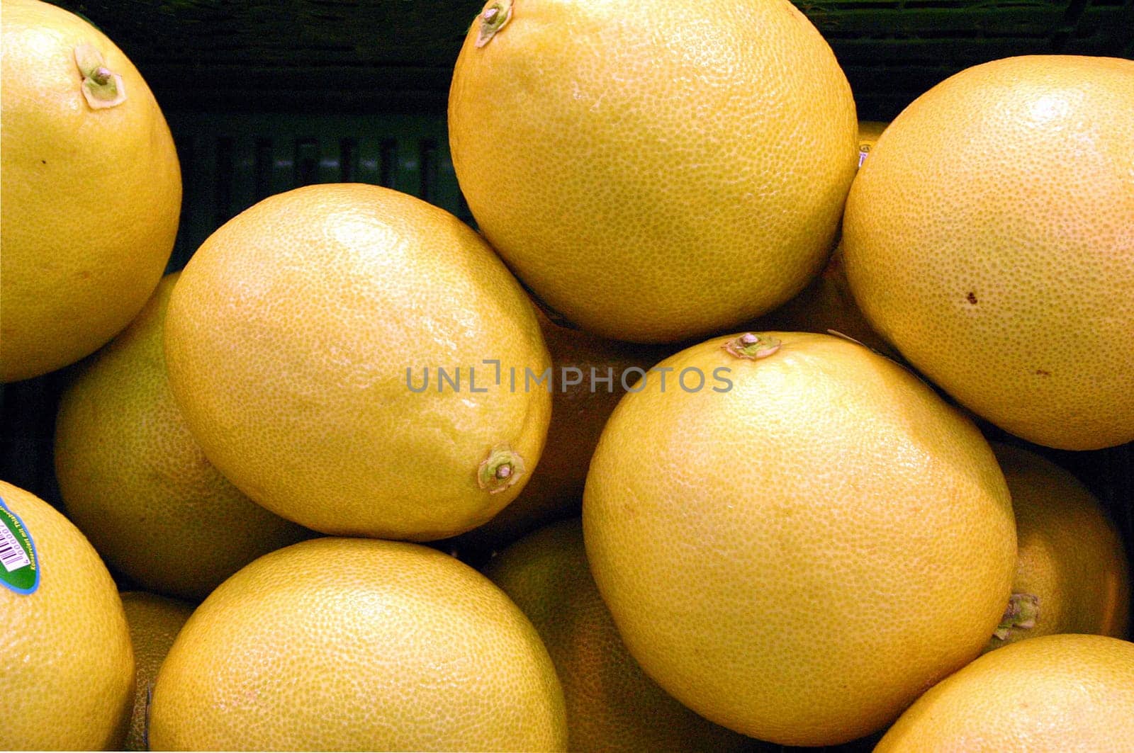 Grapefruit