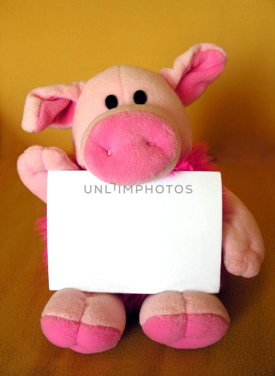 Piglet