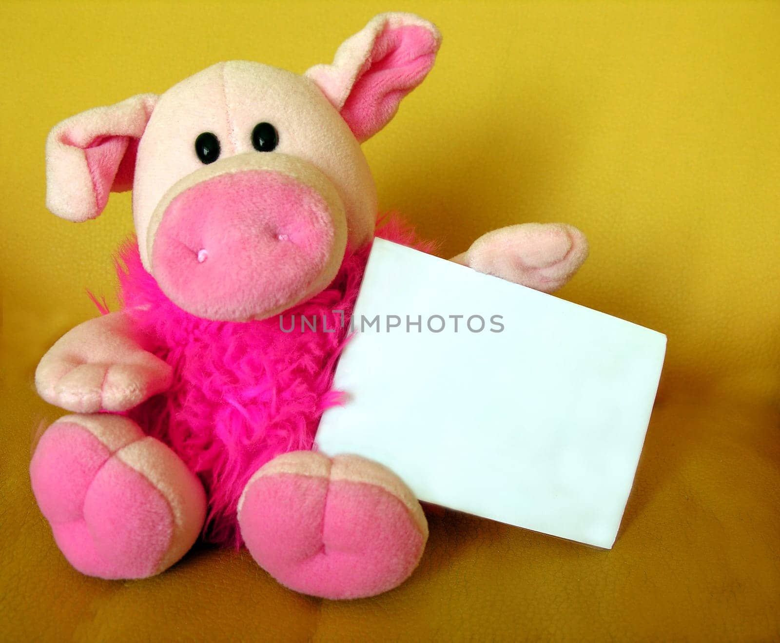 Piglet