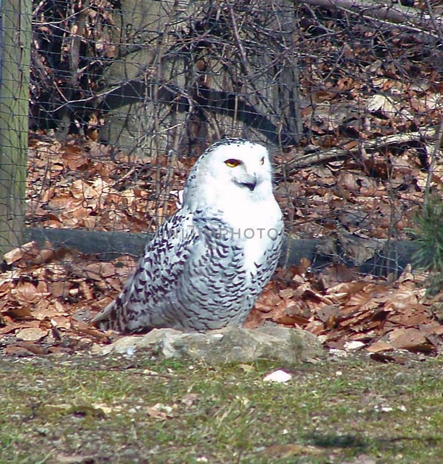Wildlife Park Bad Mergentheim