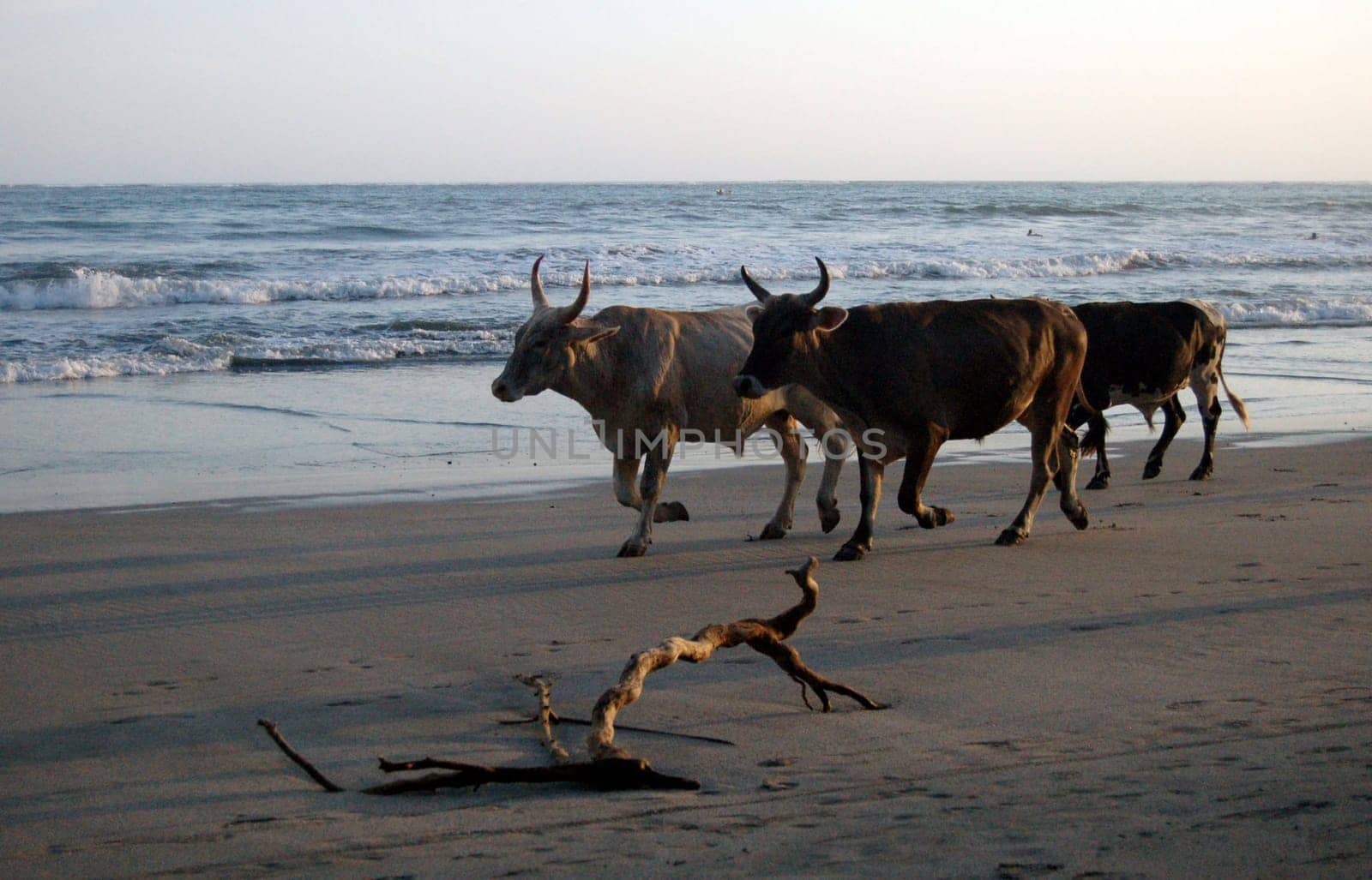 Pacific beach in Costa Rica