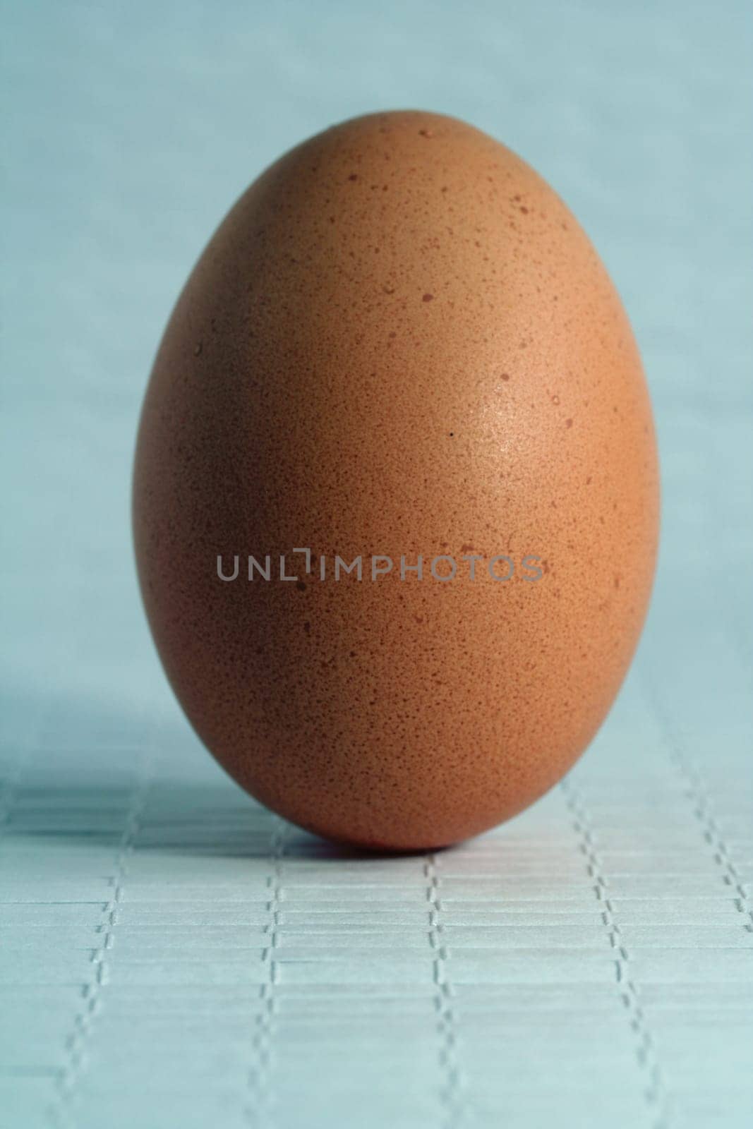Egg