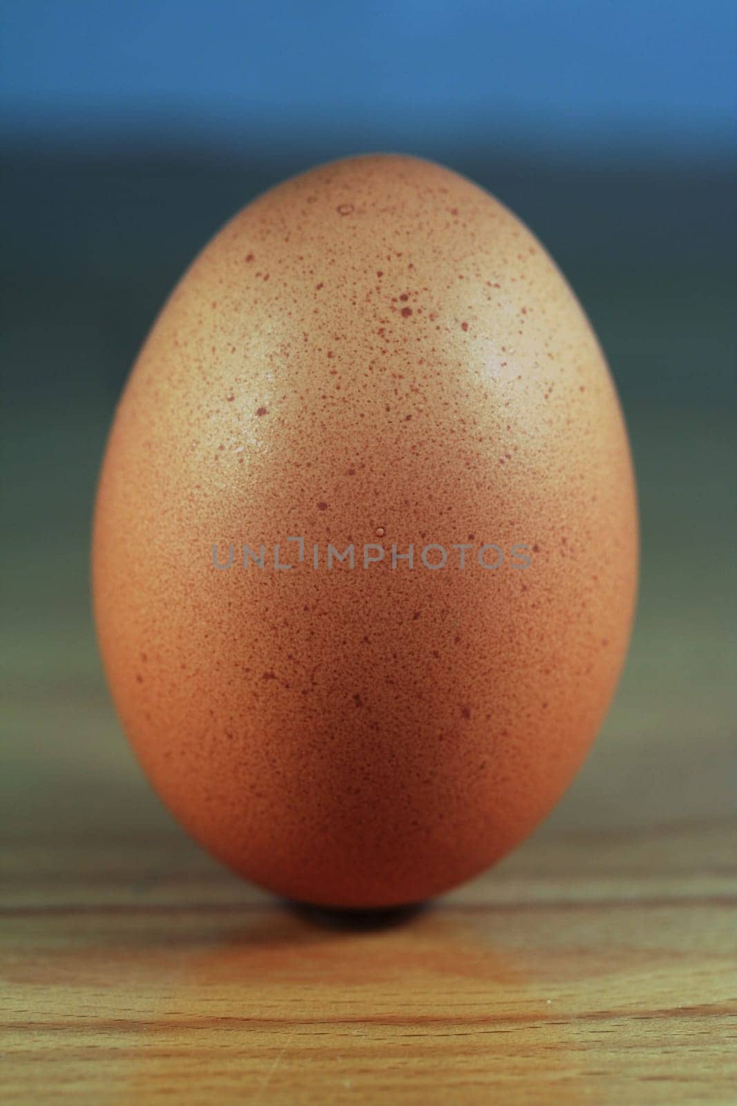 Egg on wood