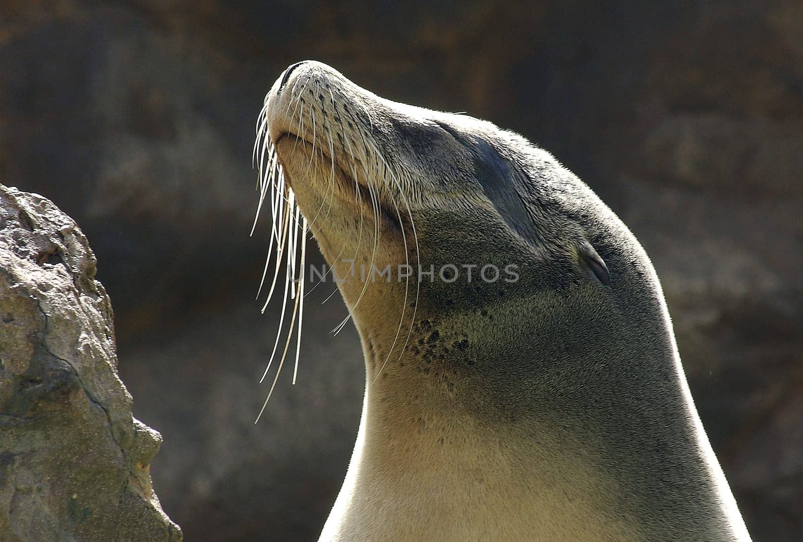 Sunbath