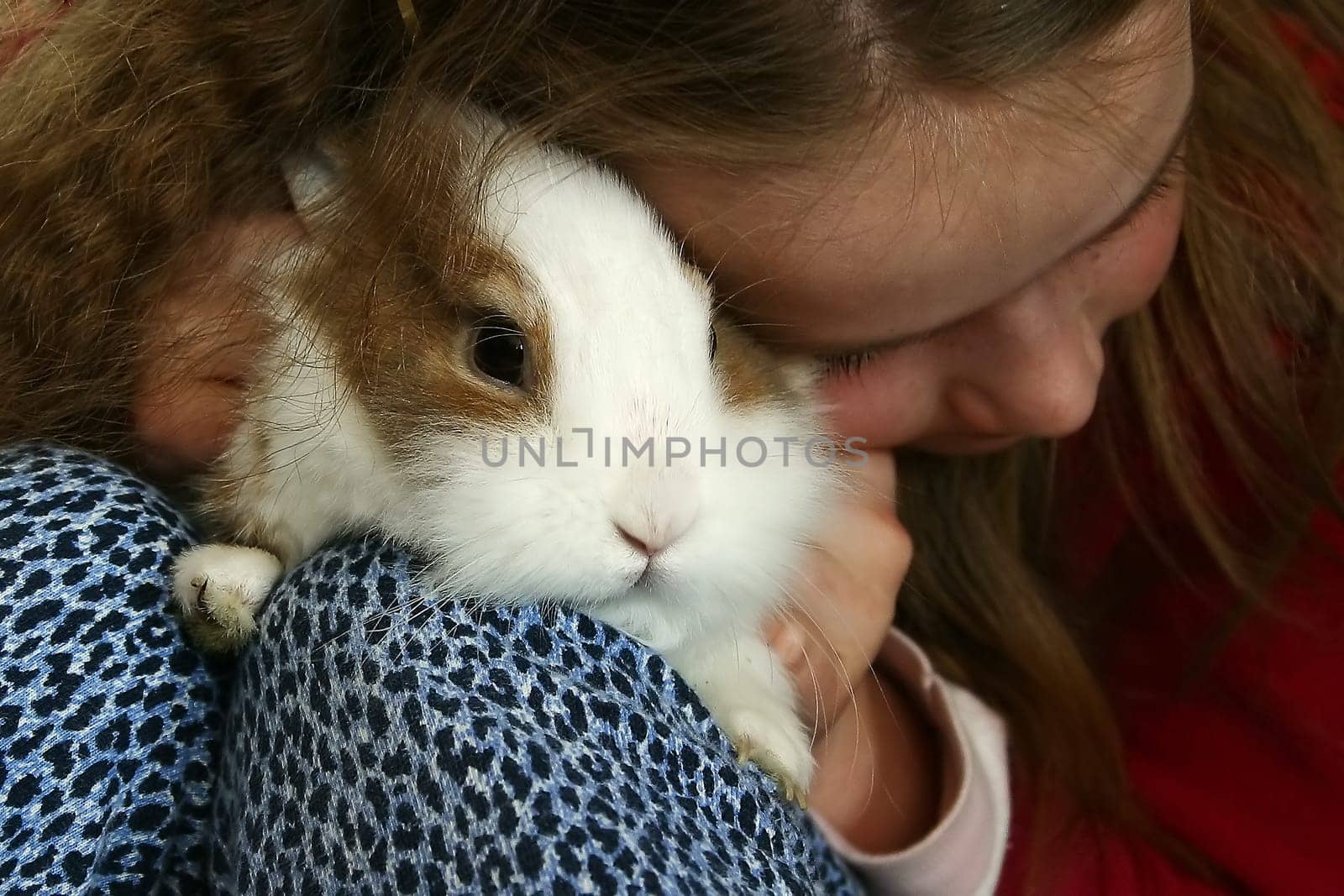 My rabbit and I