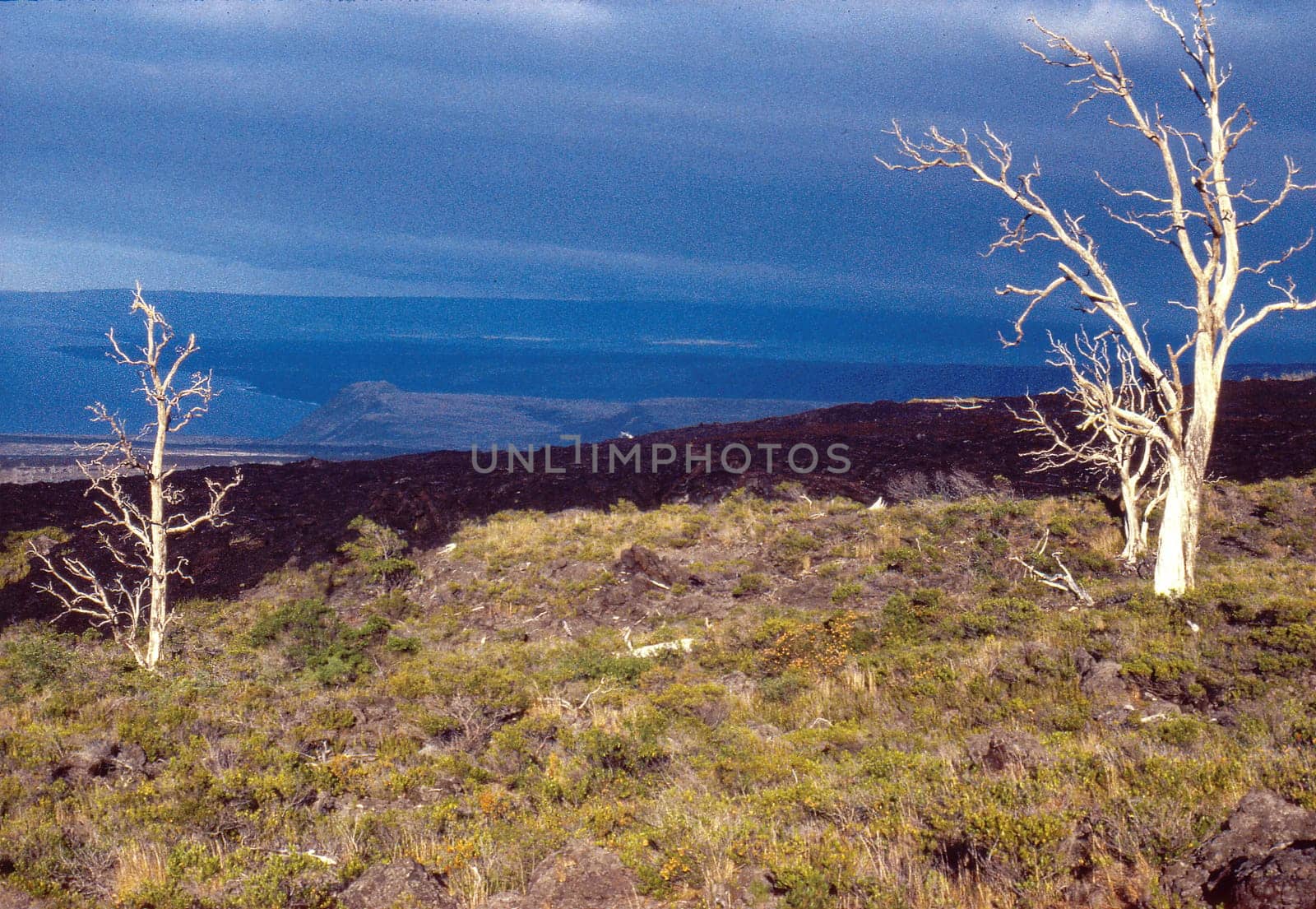 Scan from slide