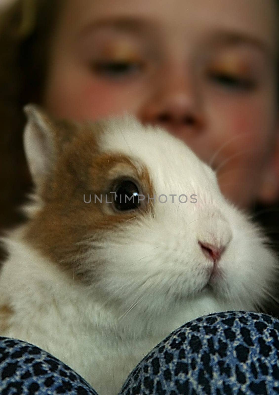My Rabbit and I,No.2