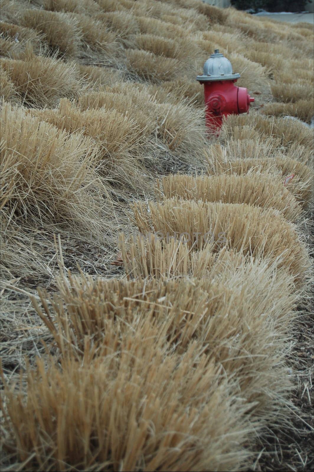 Hydrant