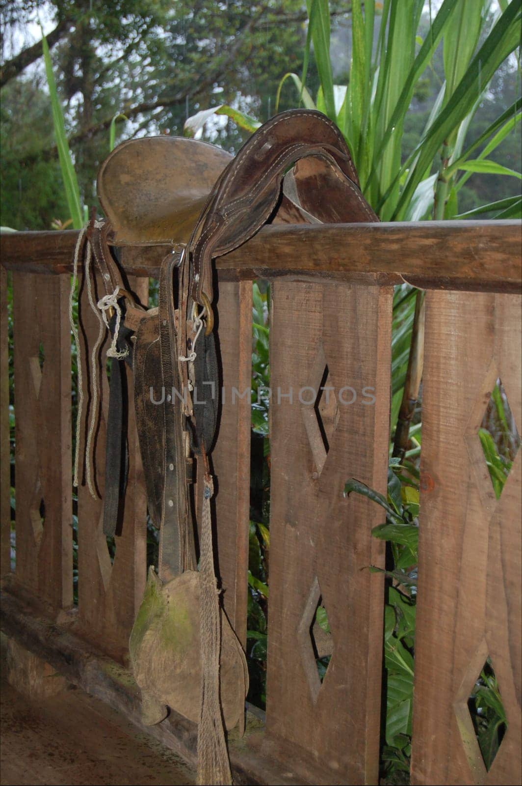 Saddle