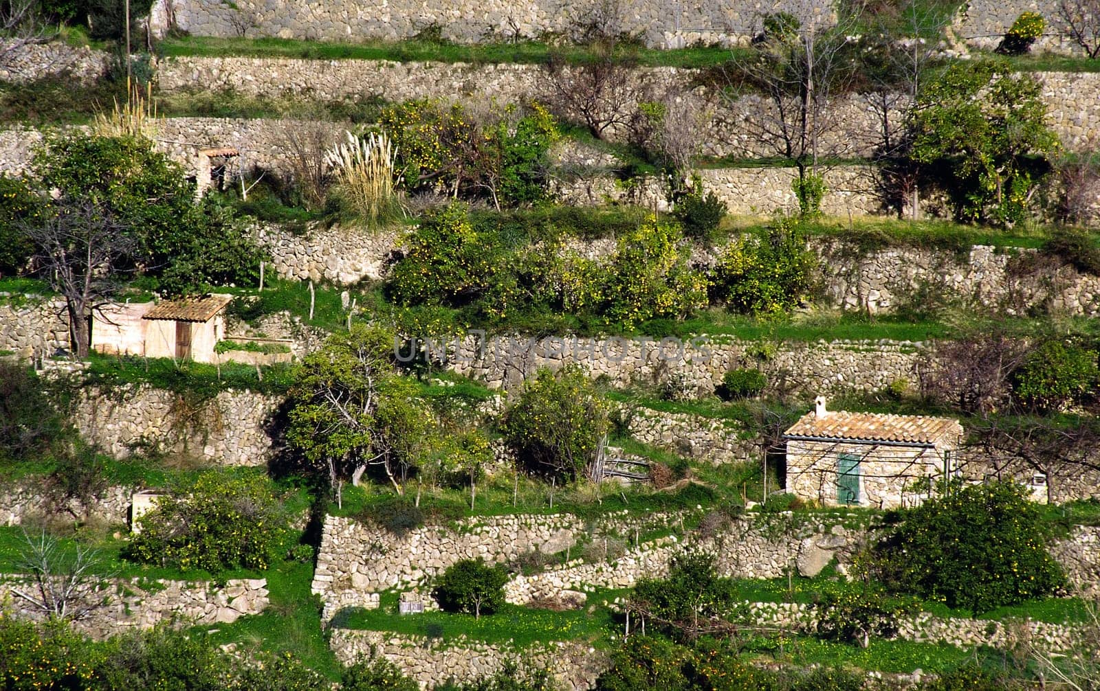 The once idyllic mountain village of Deià in the west of Mallorca now lives from its reputation as an artists' colony. Famous people such as Pablo Picasso are said to have lived here. The houses of the village are spread around the top of the mountain,which leads to the