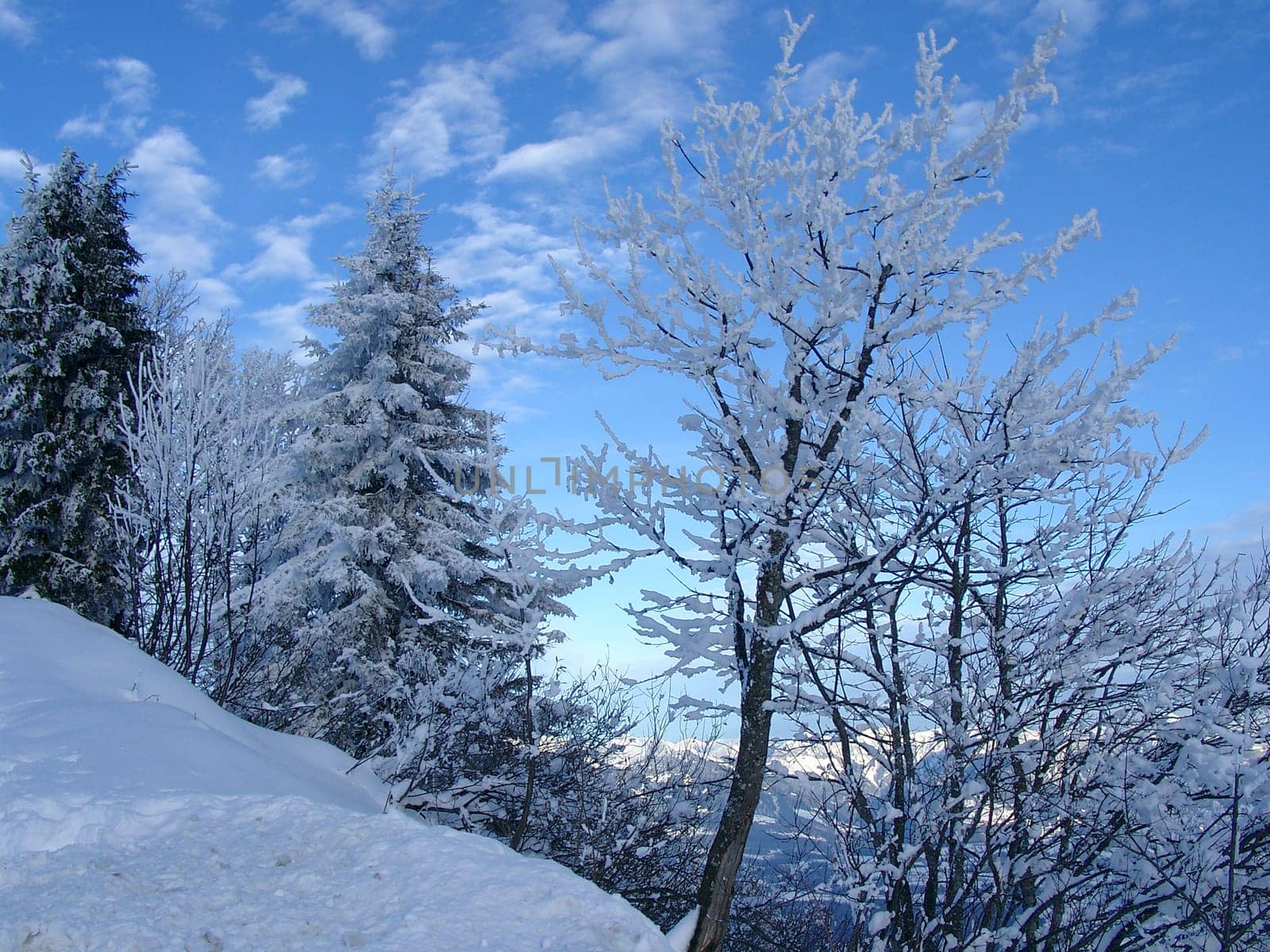 Winter impressions