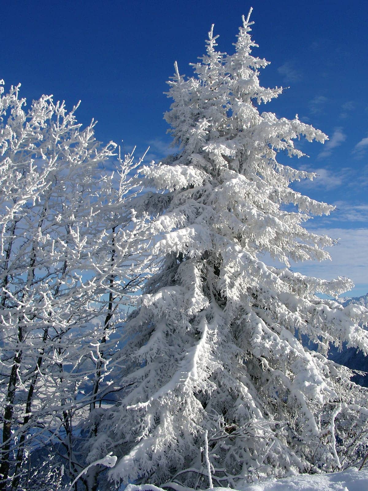 Winter impressions