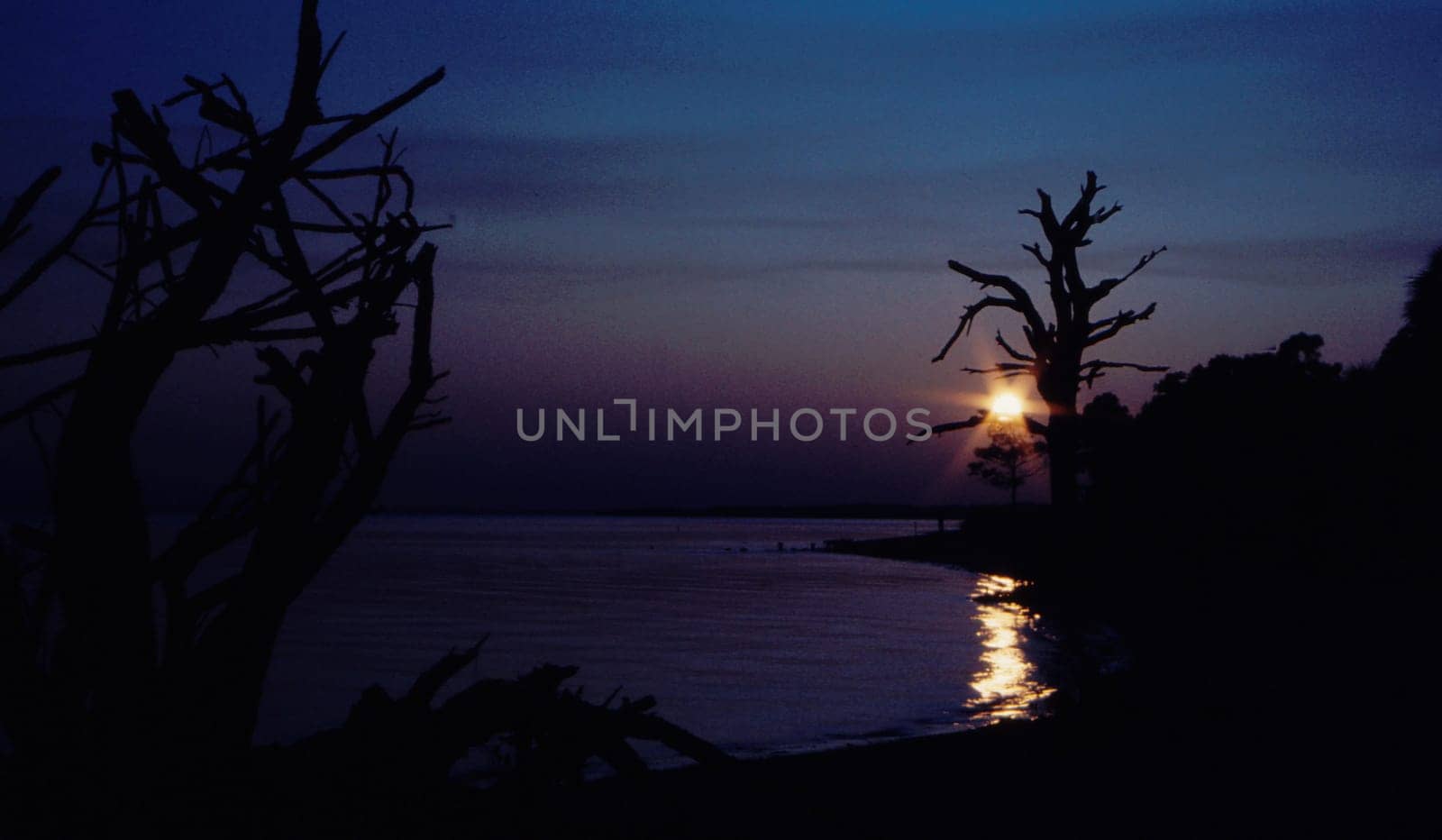 Scan from slide