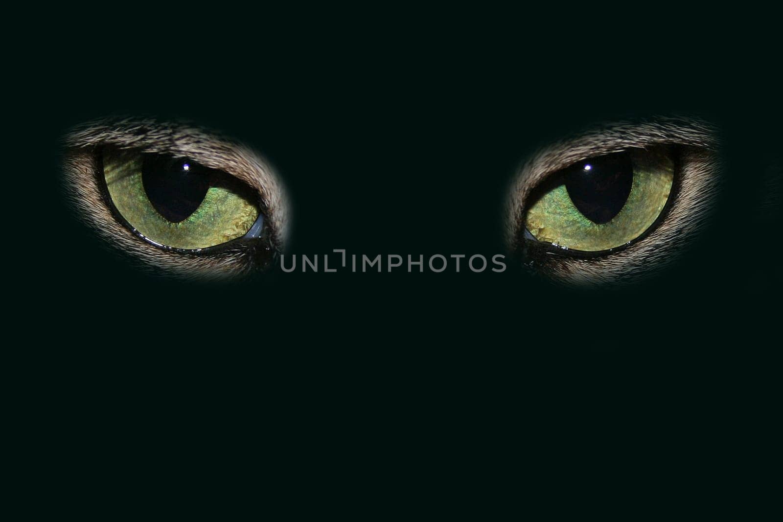 Cat's eyes