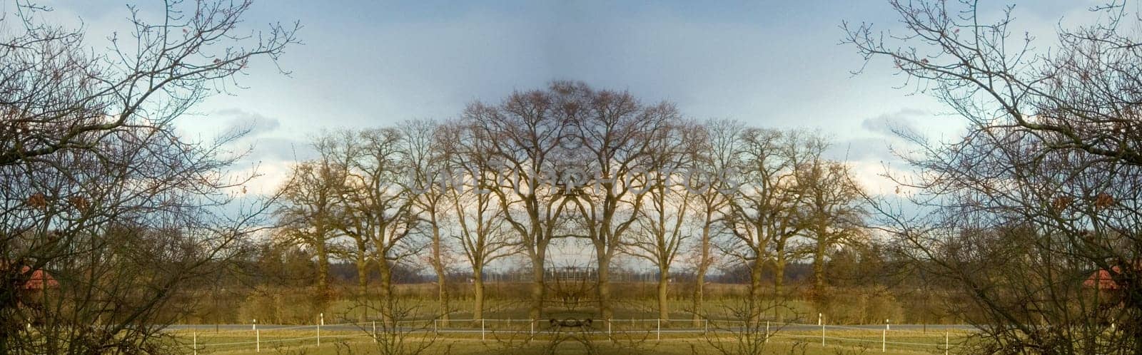 Panorama