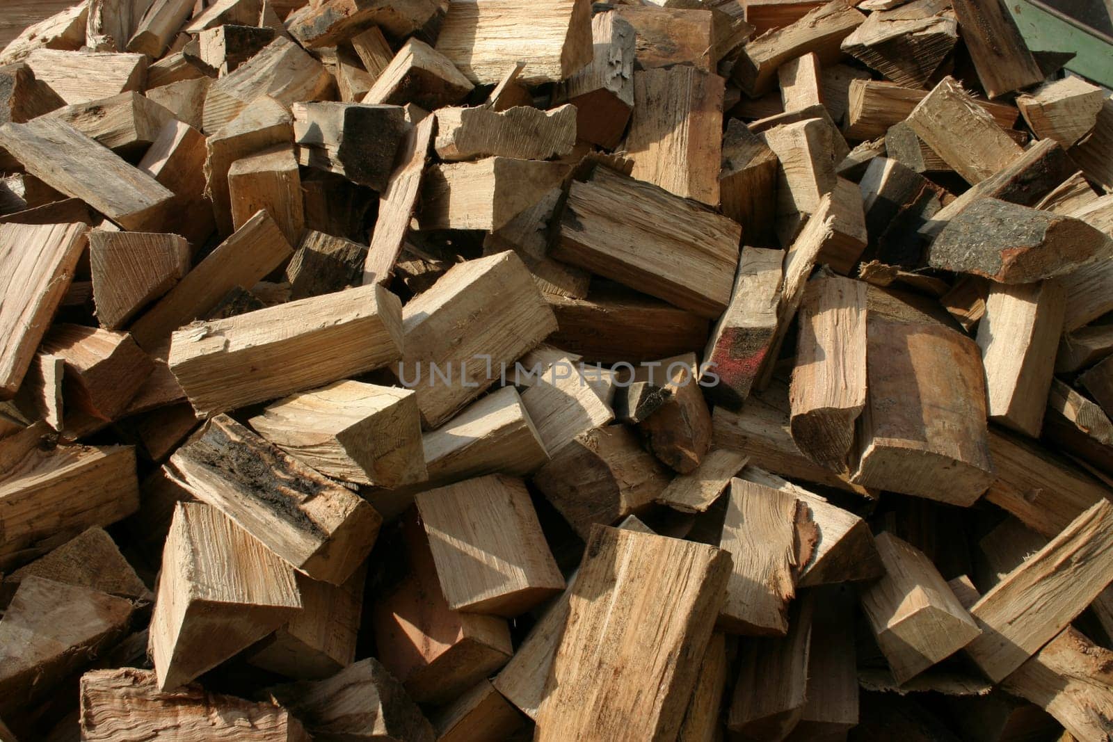 Firewood logs just delivered (dumped off the truck)