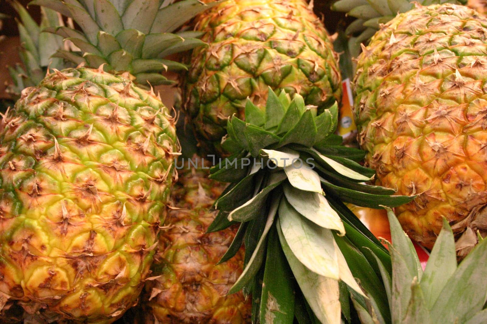 Pineapple 2