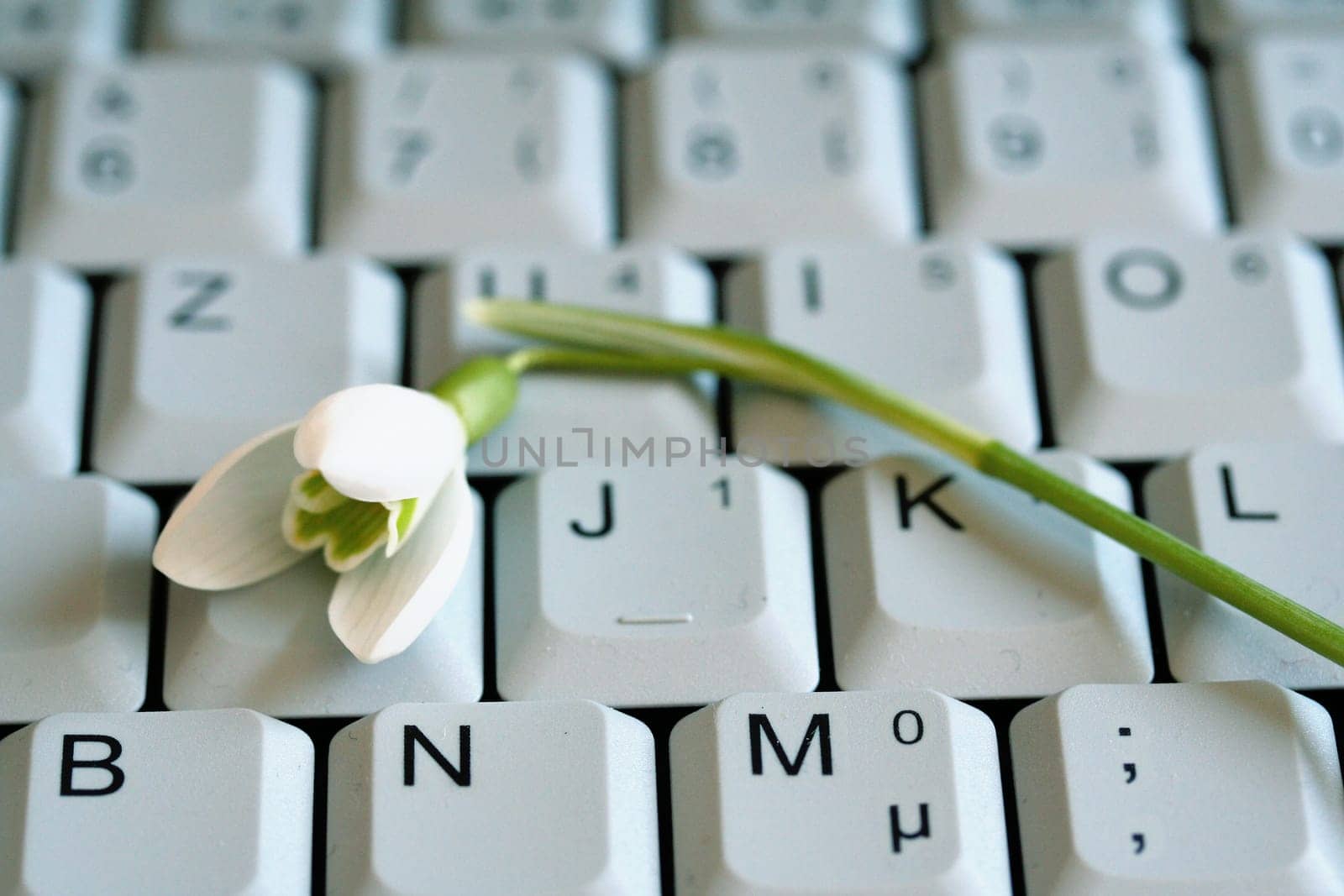 Laptop Spring