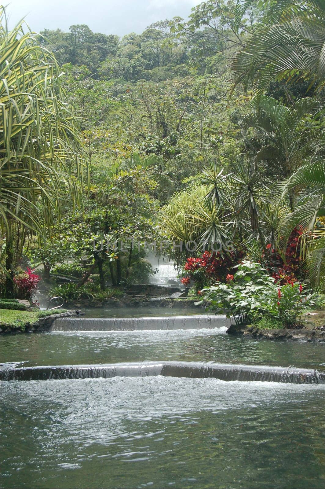 in Fortuna / Costa Rica