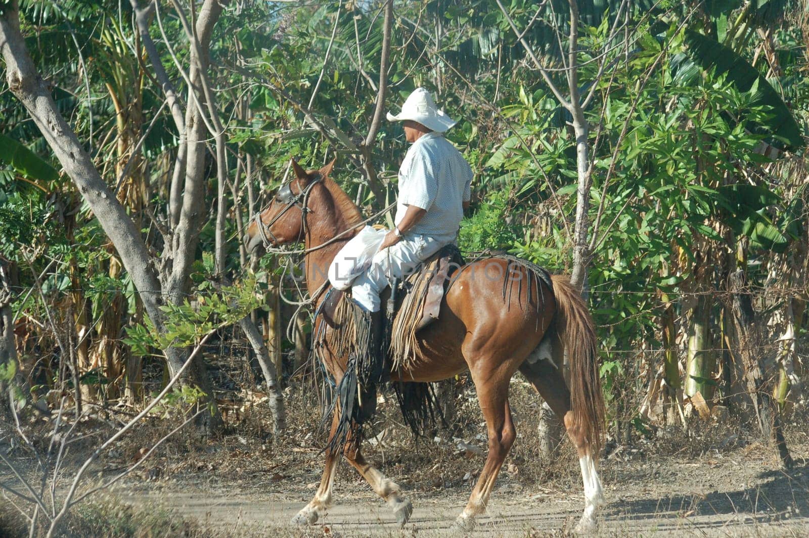 Horseman