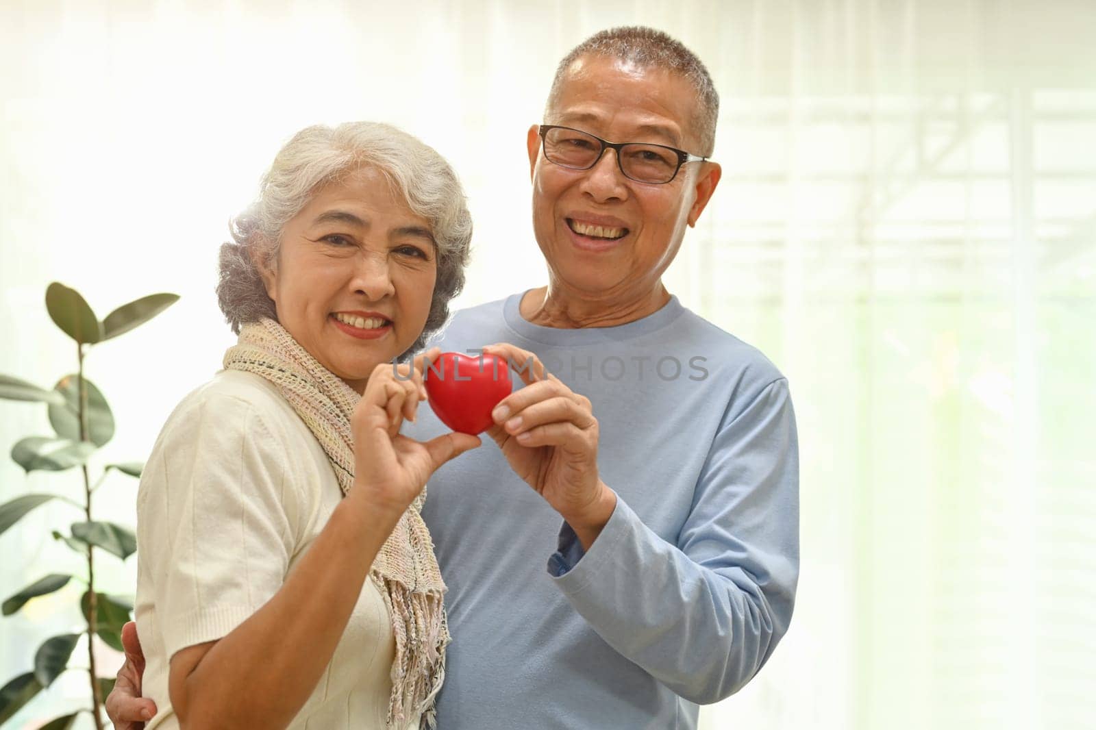 Beautiful senior couple holding little red heart shape as a symbol health care, love and insurance.