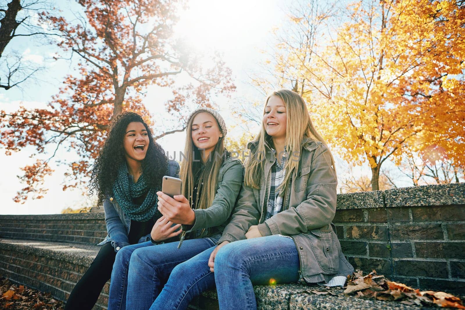 Phone meme, funny or friends in park with smile together for holiday vacation outdoors on social media. Happy people, gossip or gen z girls in nature talking, speaking or laughing at a comedy joke.