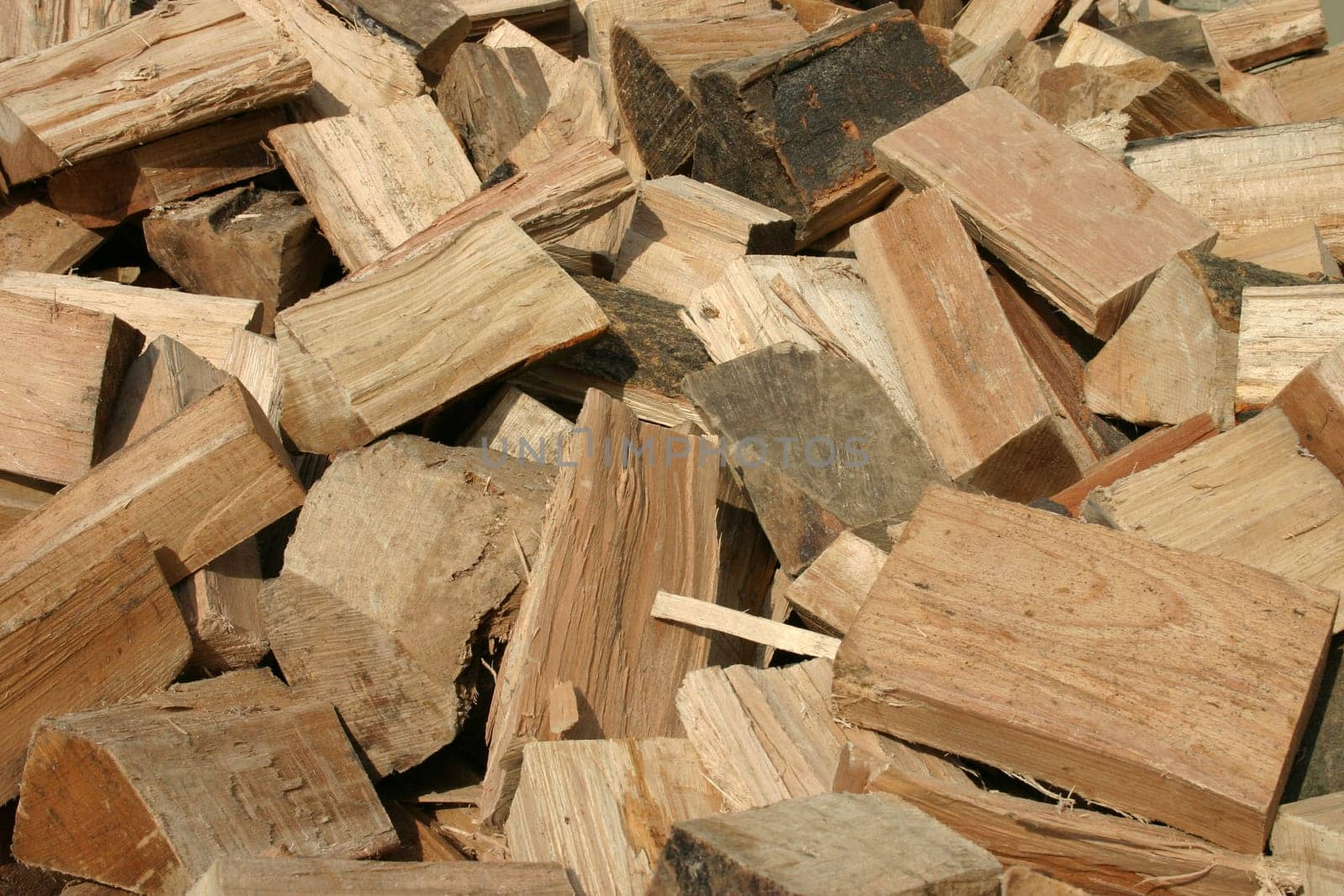 Firewood logs just delivered (dumped off the truck)