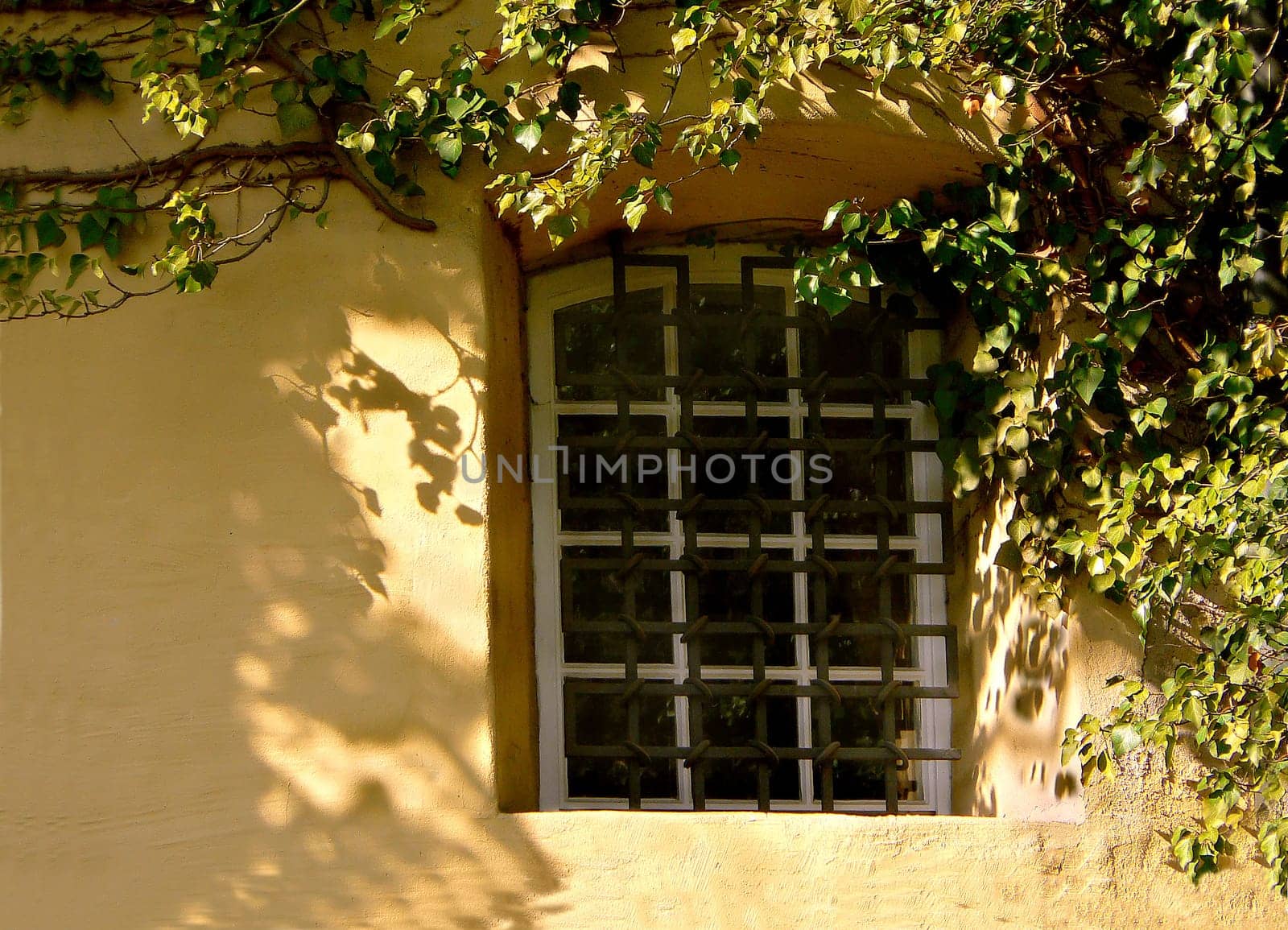 Window to the courtyard