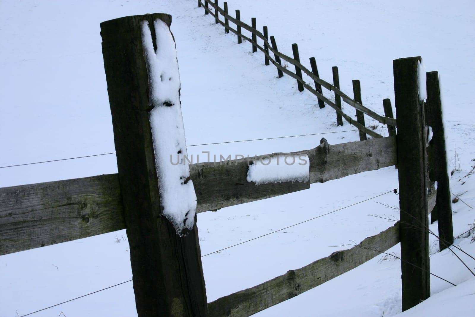 snowy wooden fence