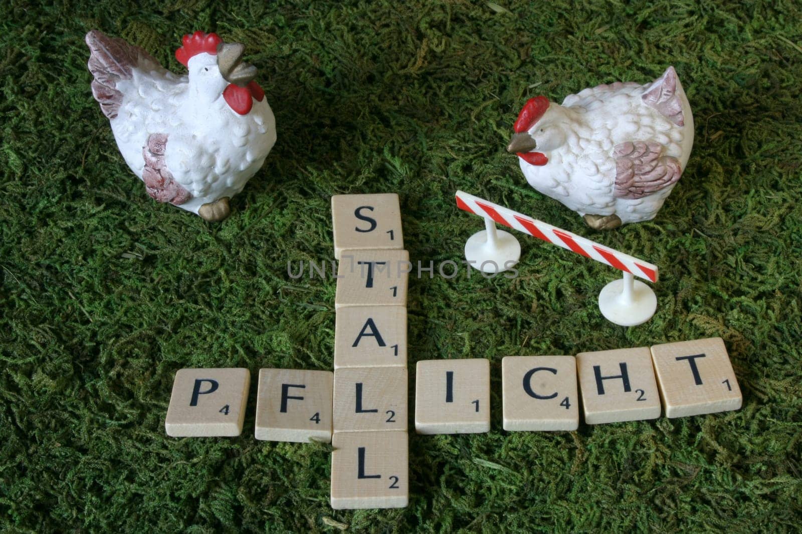 Precautionary measure against the spread of avian influenza