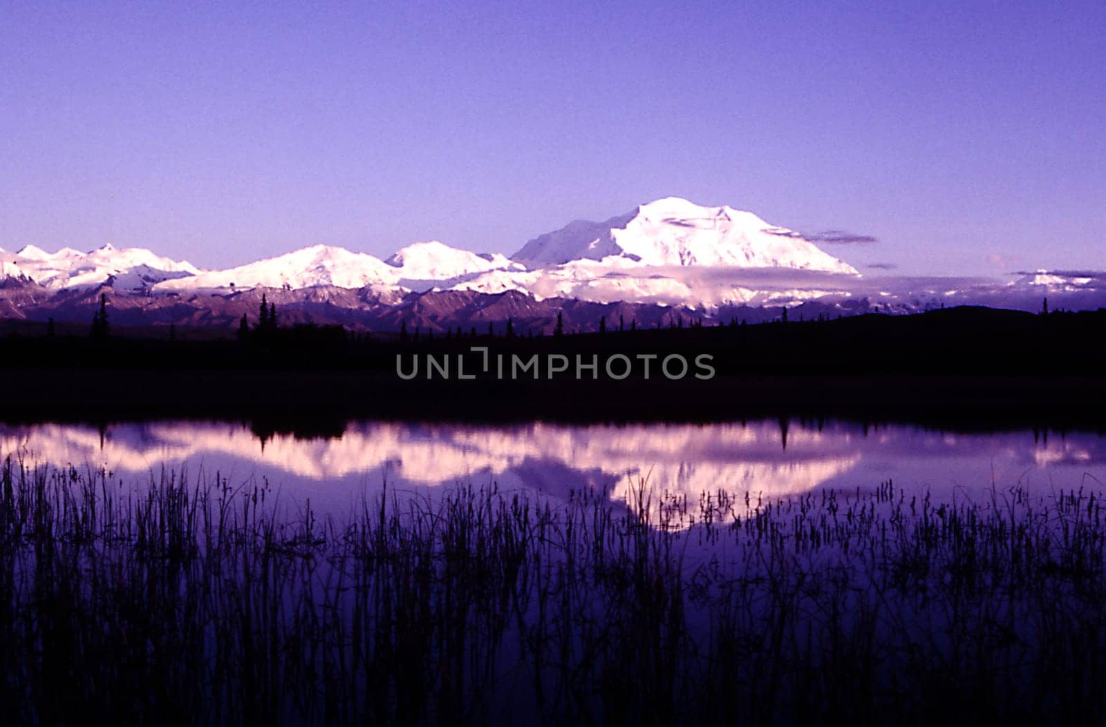 Mount McKindley (Denali) in Alaska in midnight sun photographed at 4 a.m. under difficult conditions (mosquitoes)