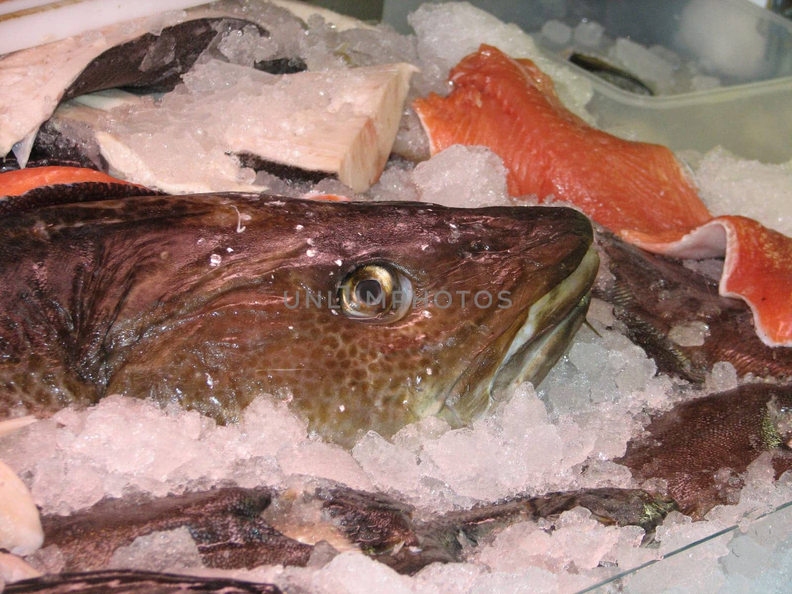 Cod