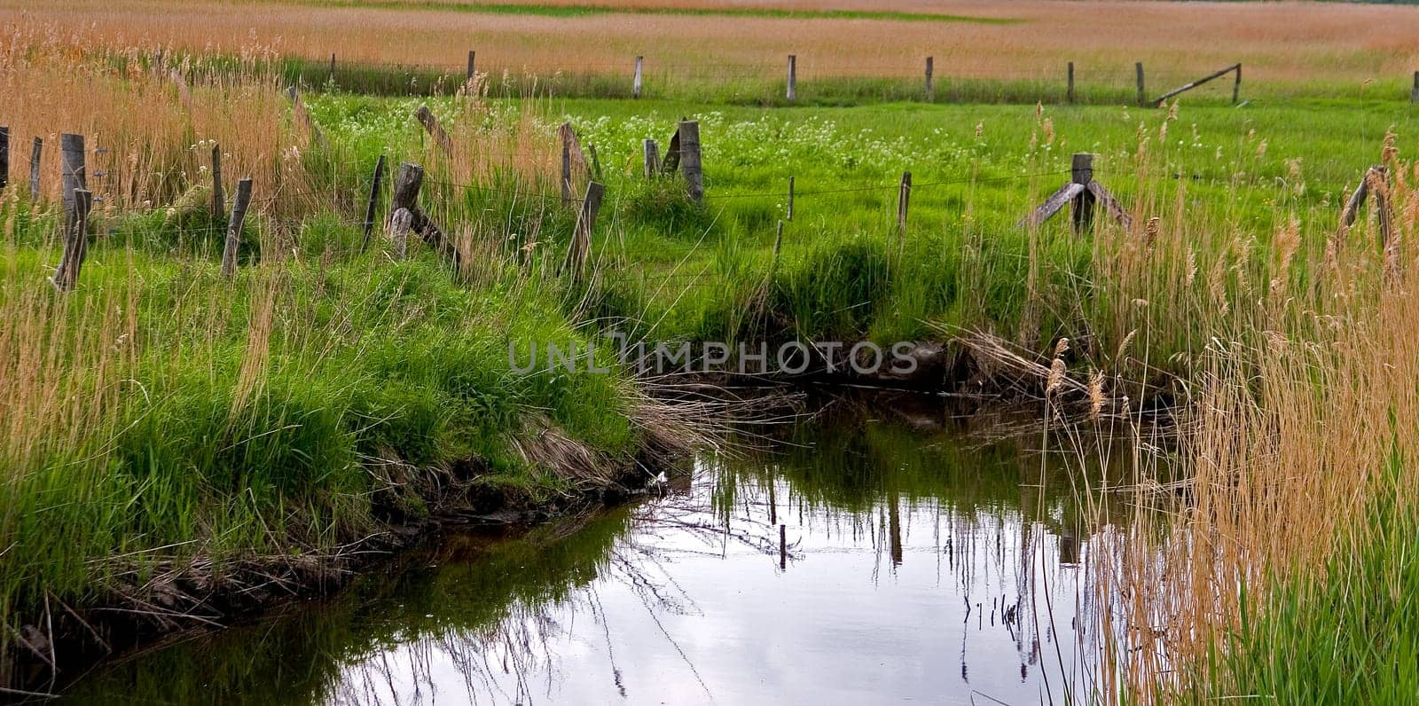 fenced