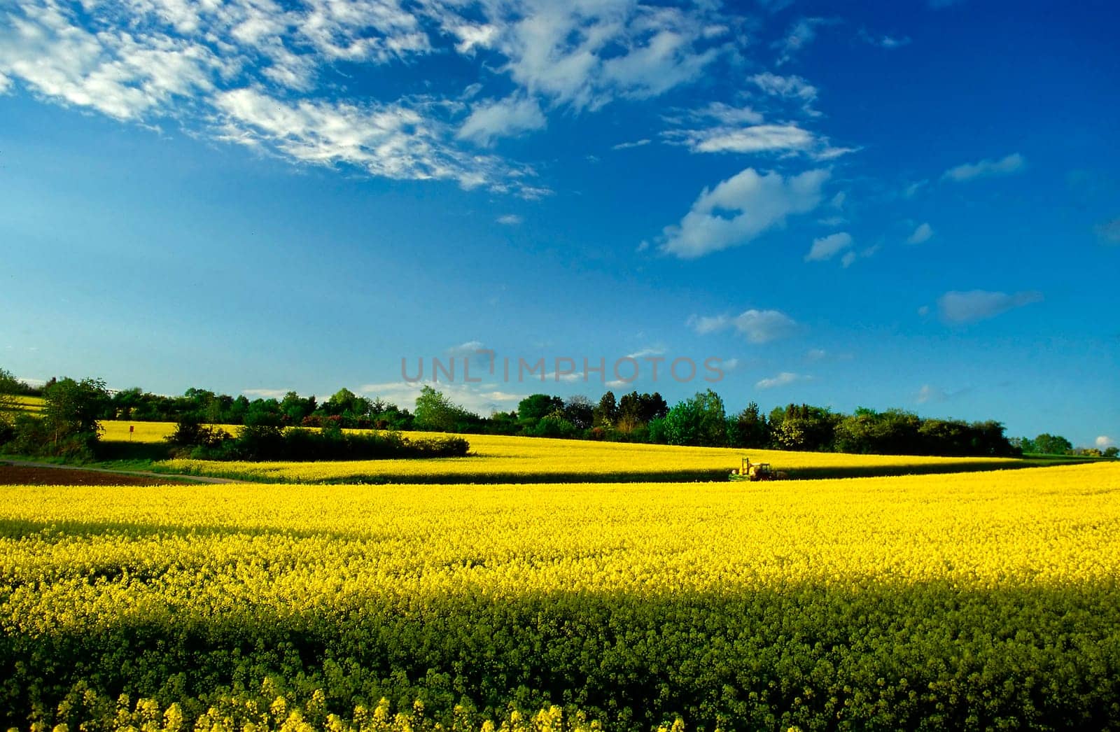 That's how beautiful May is