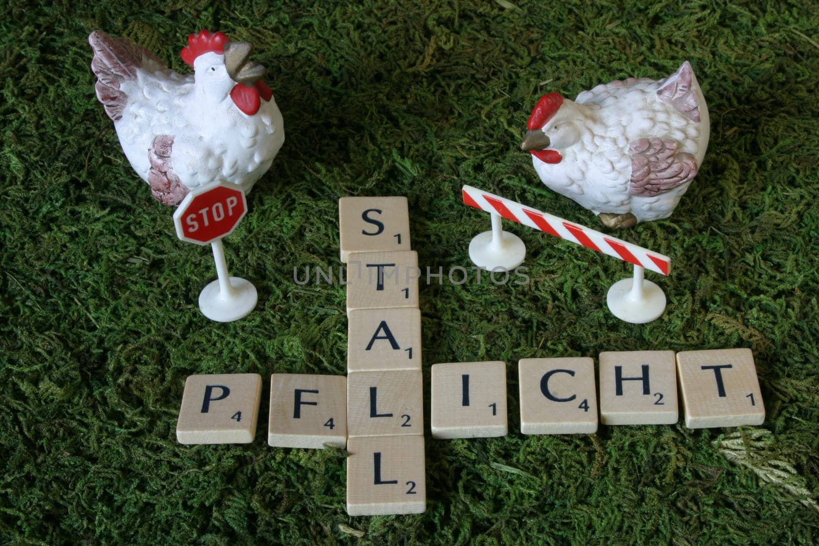 Precautionary measure against the spread of avian influenza