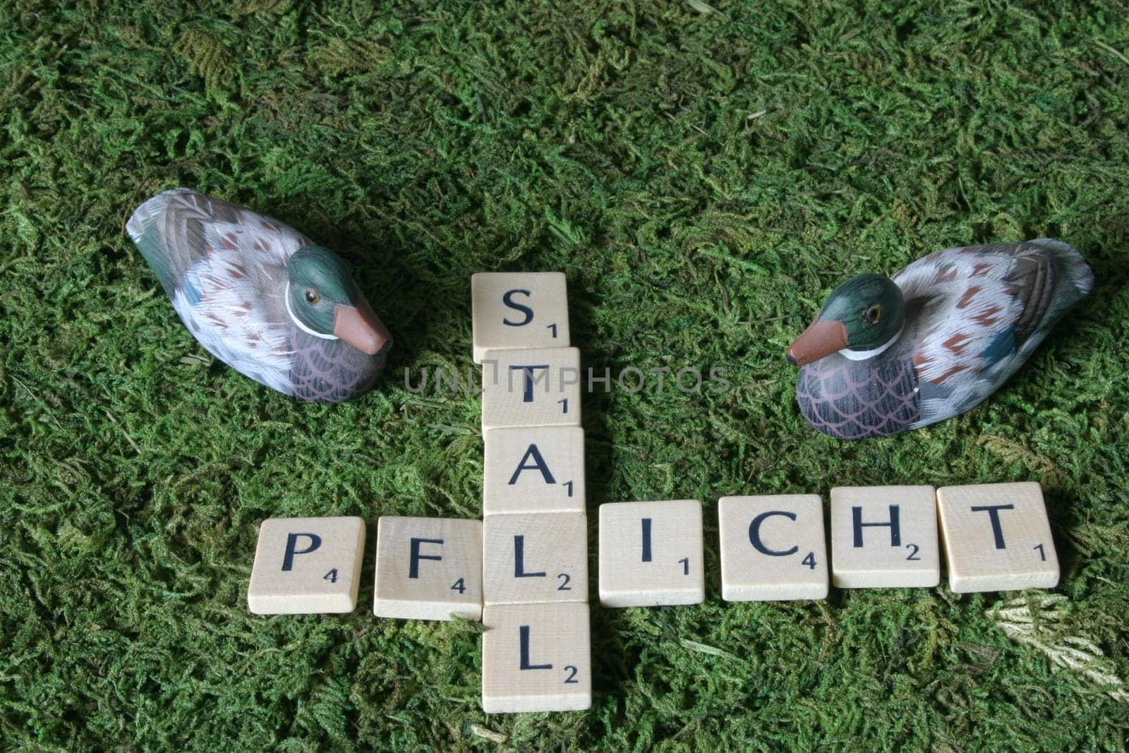 Precautionary measure against the spread of avian influenza