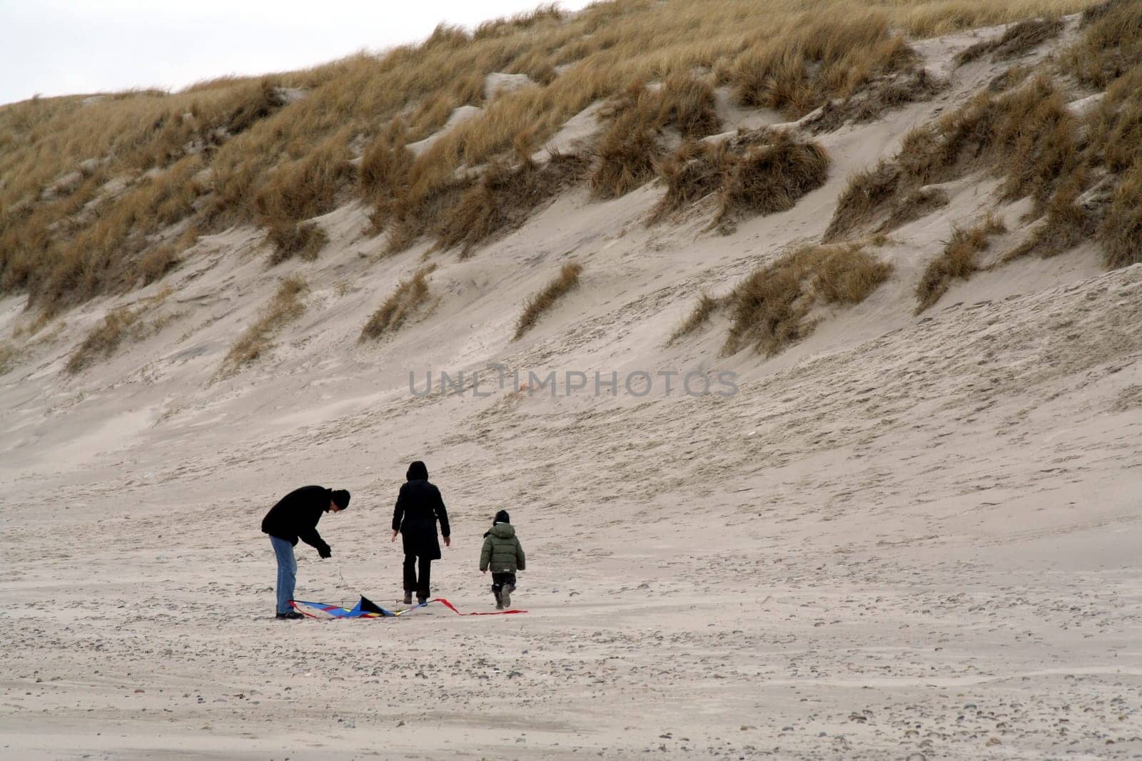 On the beach