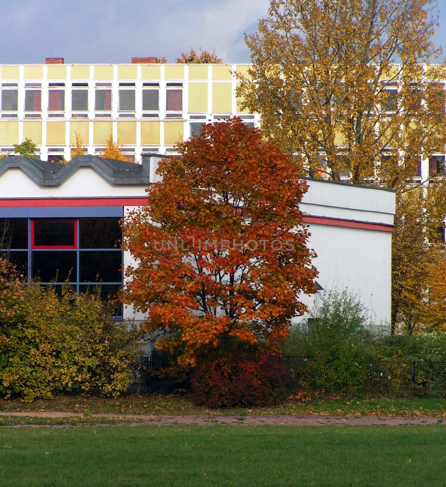 Autumn colors