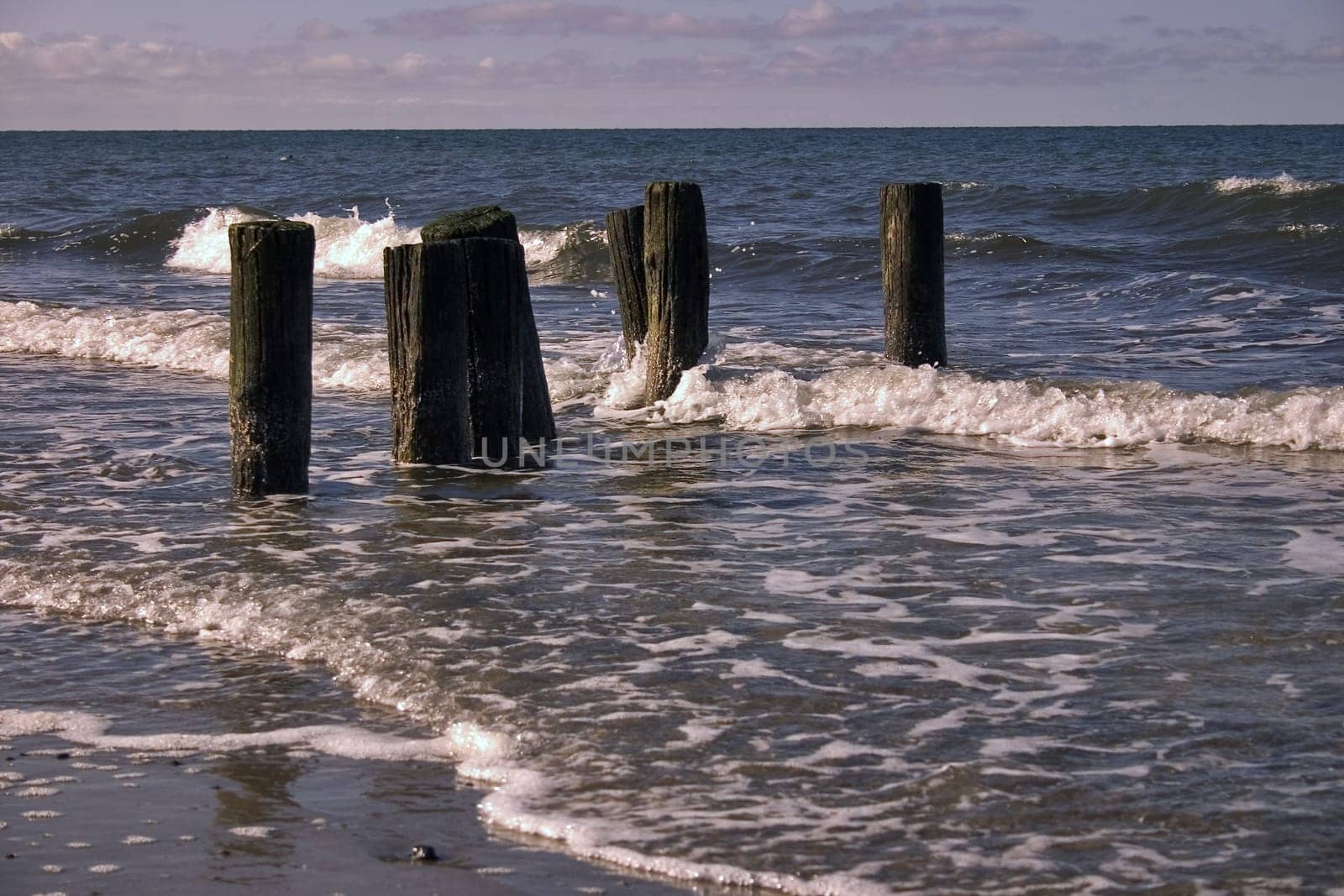 Fischland/Darß near Ahrenshoop in winter