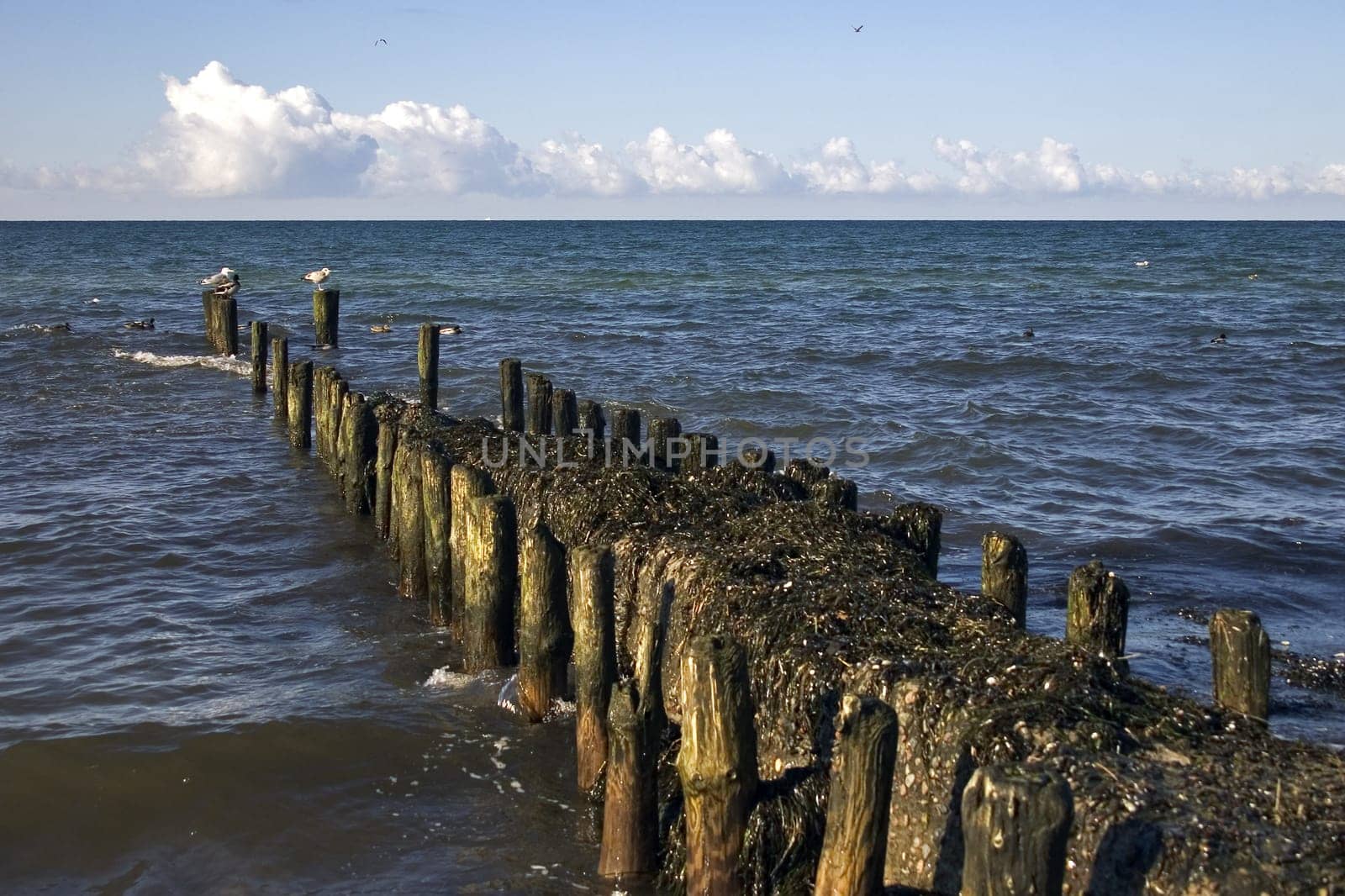 Baltic Sea near Ahrenshoop,Fischland/Darß