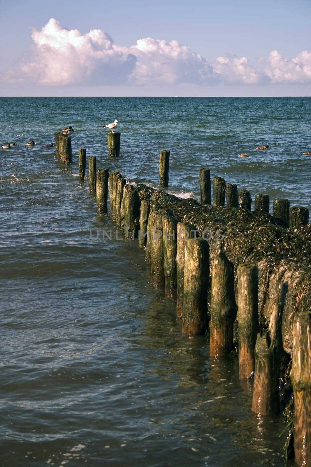 Baltic Sea near Ahrenshoop,Fischland/Darß