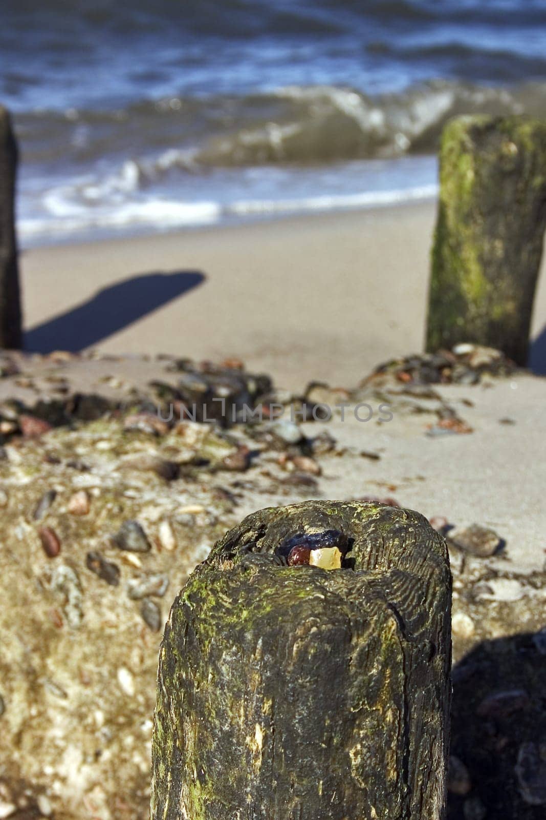 found on the Baltic Sea near Ahrenshoop,Fischland/Darß