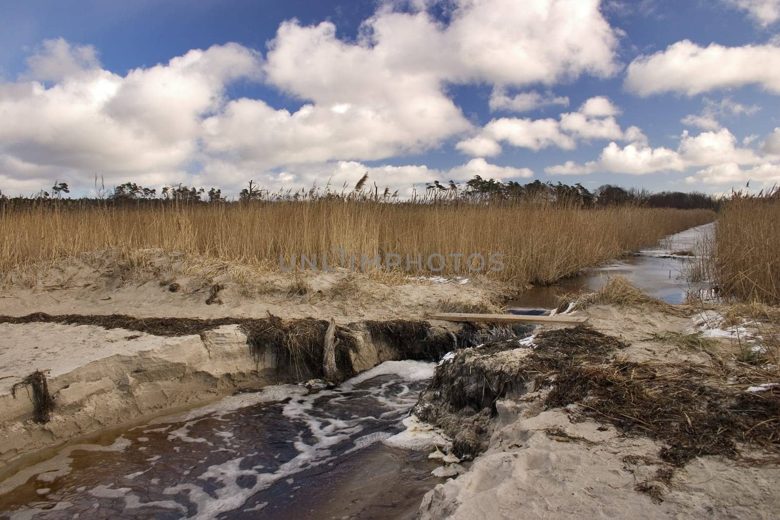 Baltic Sea beach near Ahrenshoop,Fischland/Darß