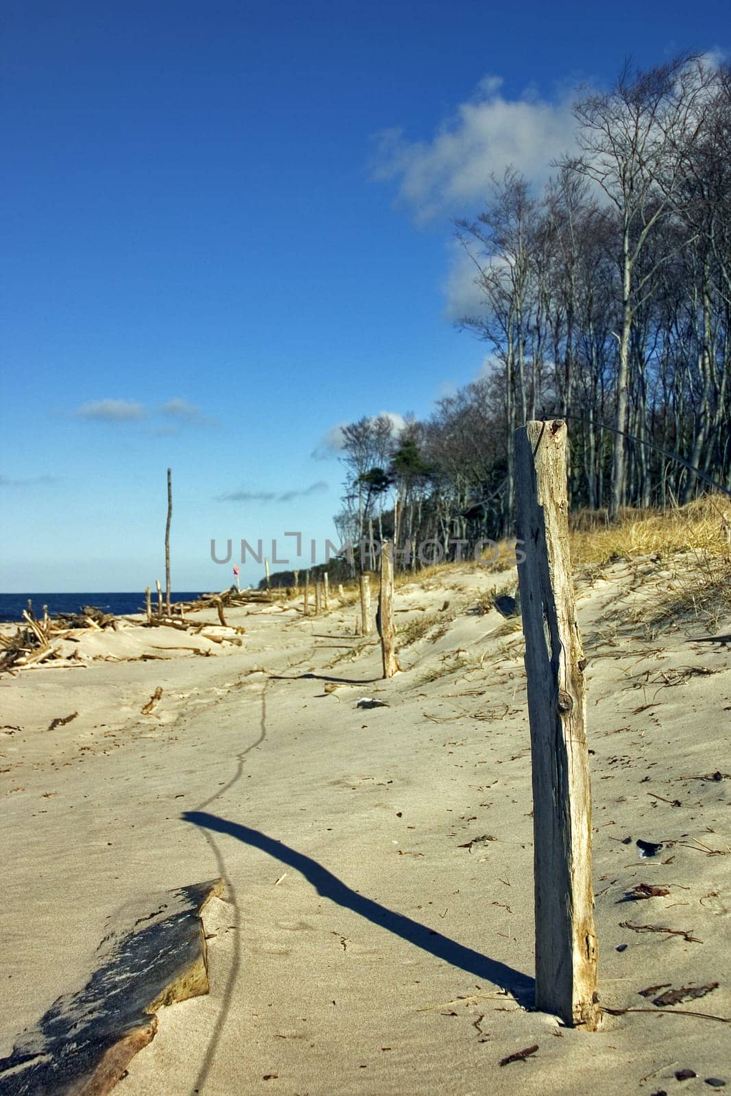 Baltic Sea beach near Ahrenshoop,Fischland/Darß