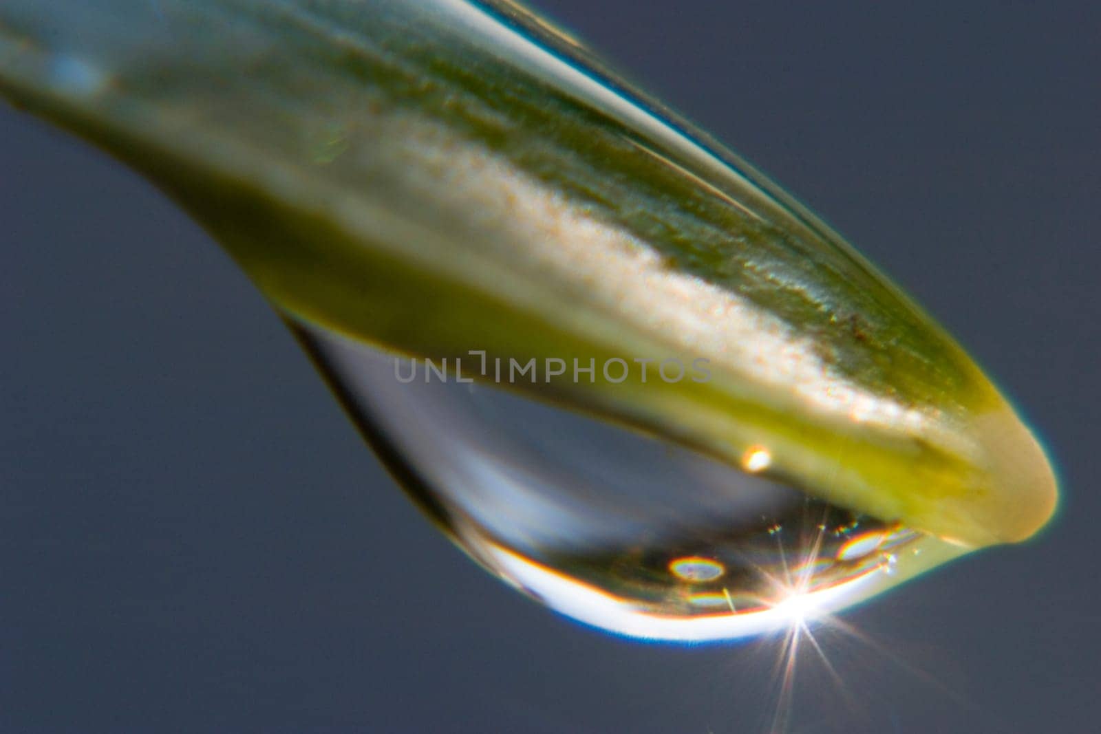 Dewdrop
